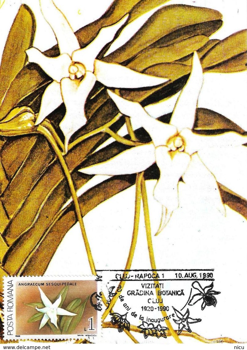 1987 - FLOWERS - ORCHIDS - 19 maximum cards