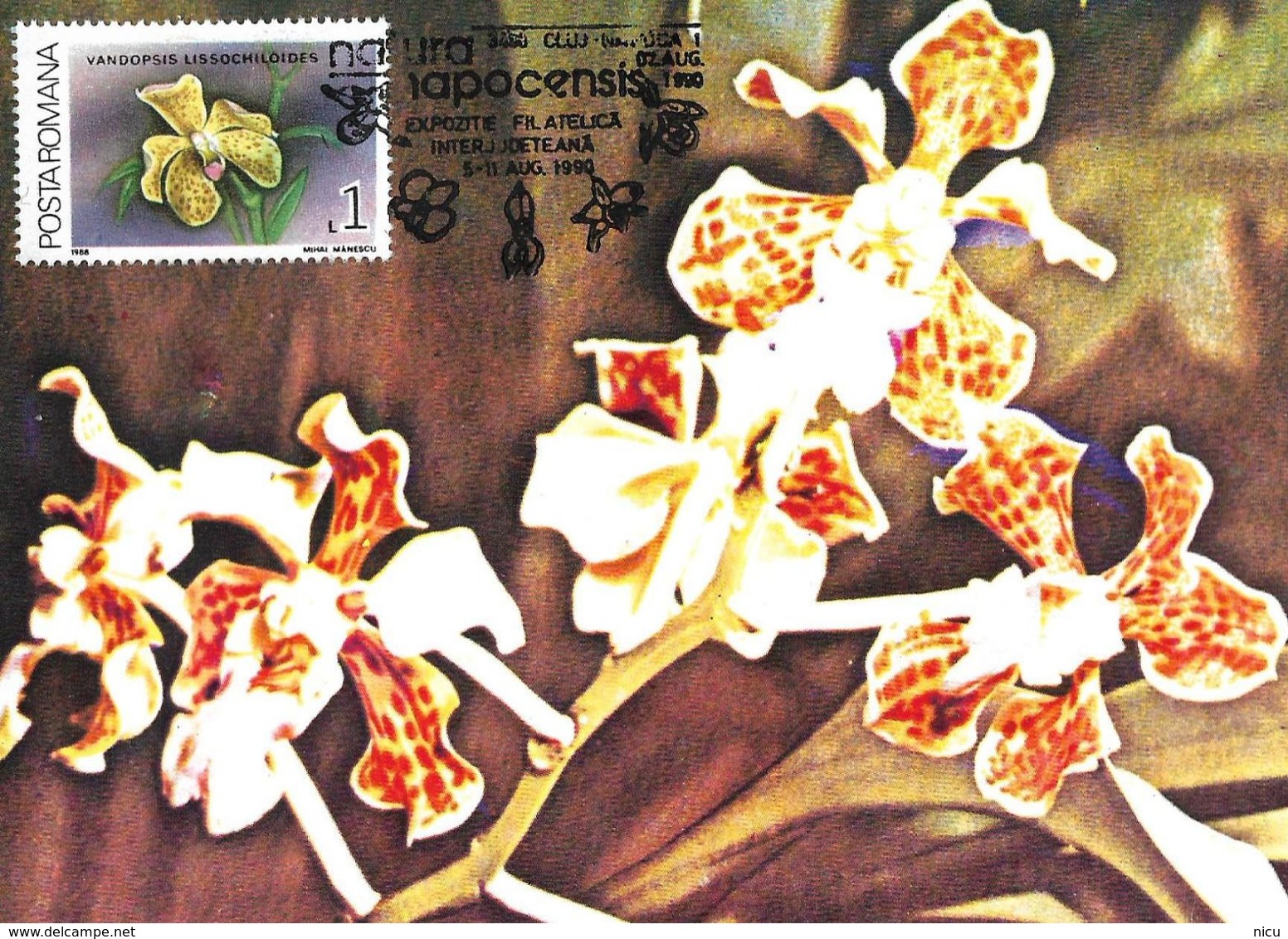 1987 - FLOWERS - ORCHIDS - 19 maximum cards