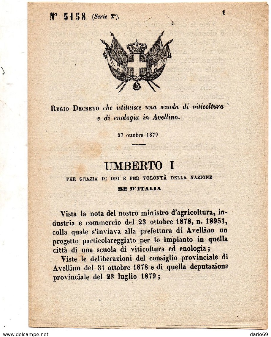 1879 DECRETO CHE ISTITUISCE UNA SCUOLA DI VITICULTURA E DI ENOLOGIA IN AVELLINO - Decreti & Leggi