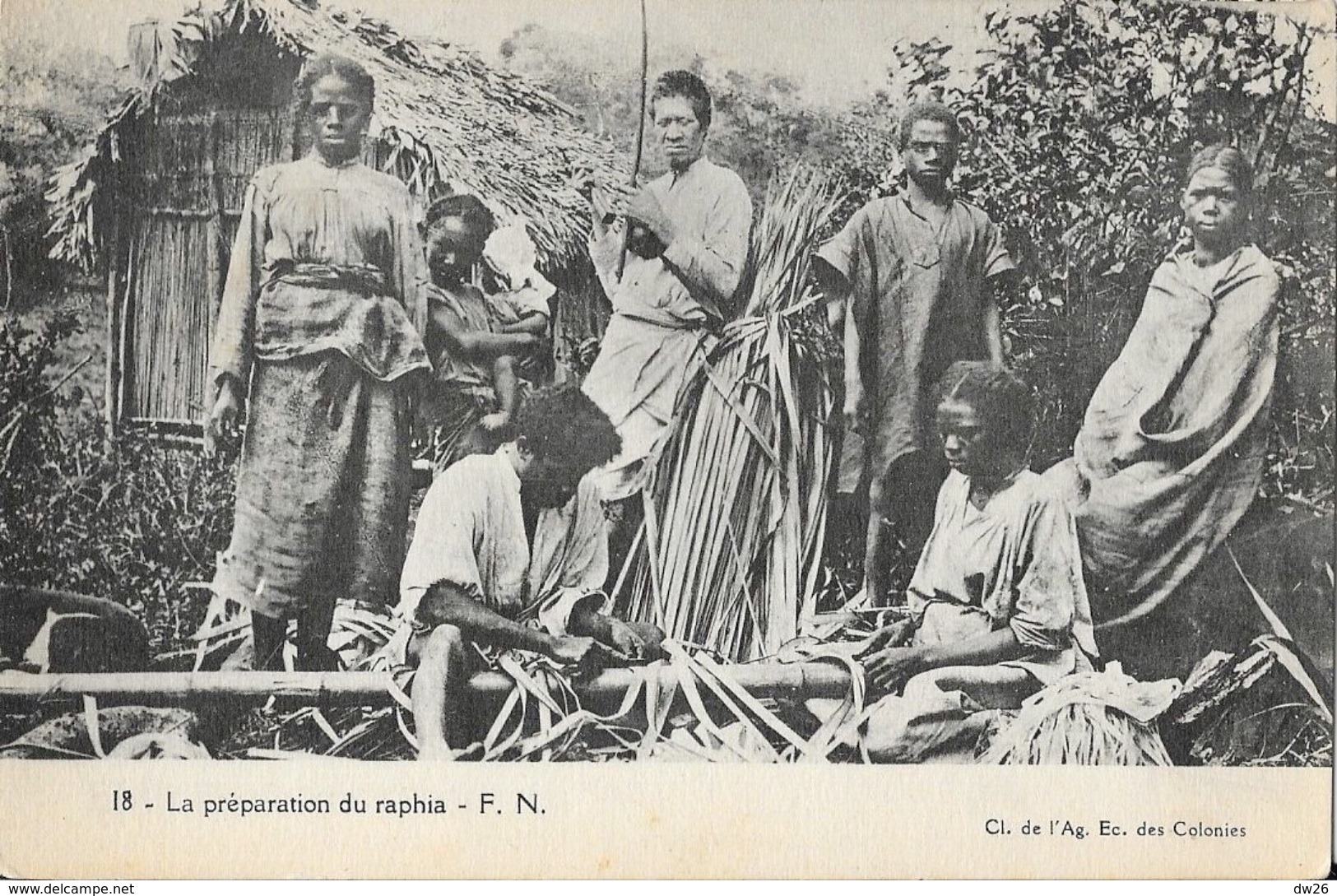 Afrique, Madagascar - La Préparation Du Raphia - Carte F.N. N° 18 Non Circulée - Afrique