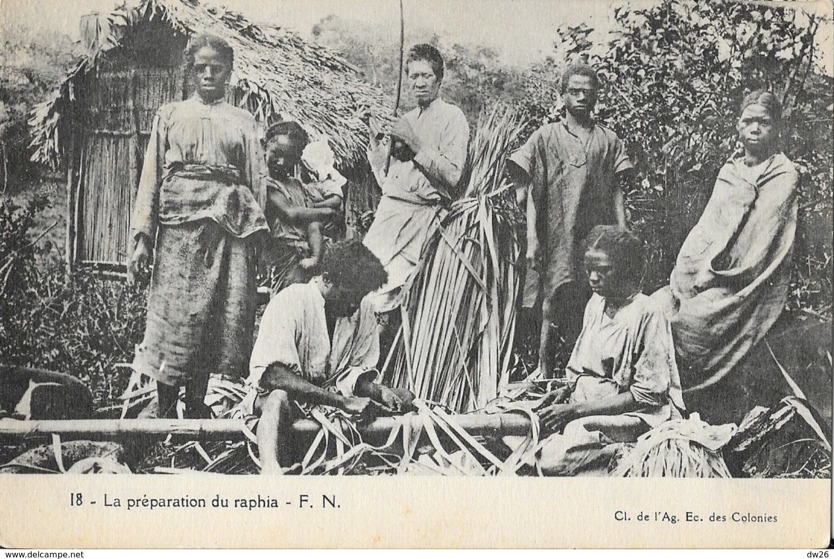 Afrique, Madagascar - La Préparation Du Raphia - Carte F.N. N° 18 Non Circulée - Africa