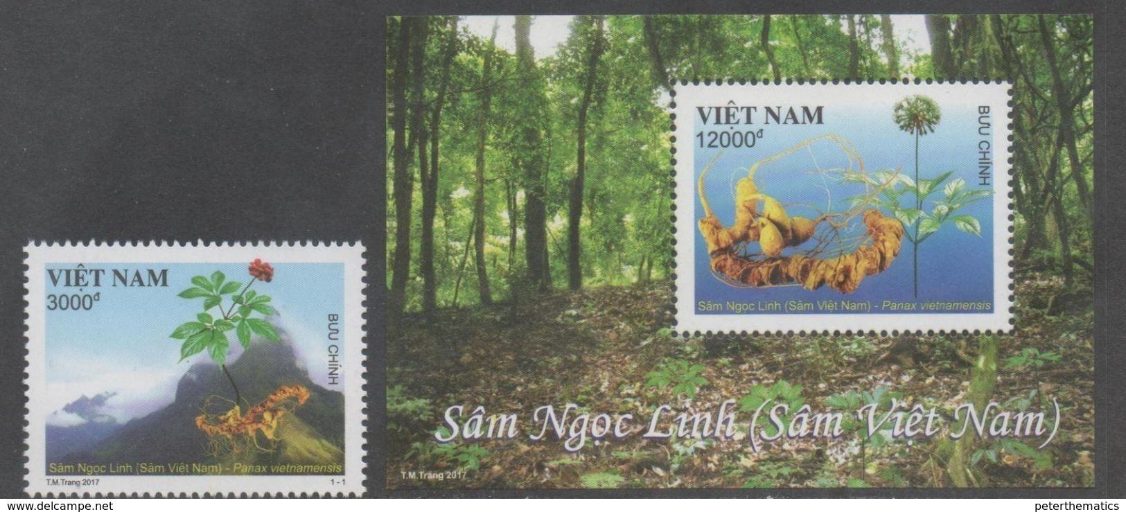 VIETNAM , 2017, MNH,  PLANTS, GINSENG, MOUNTAINS, 1v+S/SHEET - Other & Unclassified