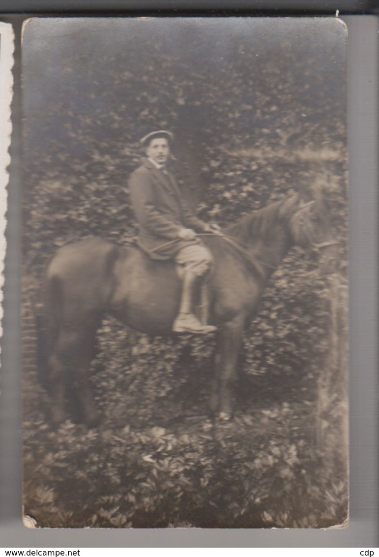 Carte Photo Tongrinne  Cavalier - Sombreffe