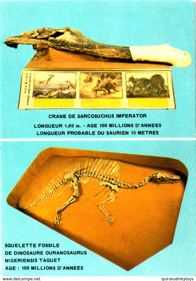 REPUBLIQUE DU NIGER MUSEE NATIONAL Fossile Dinosaure Cpsm 15X105 Bon état Voir Scans - Niger