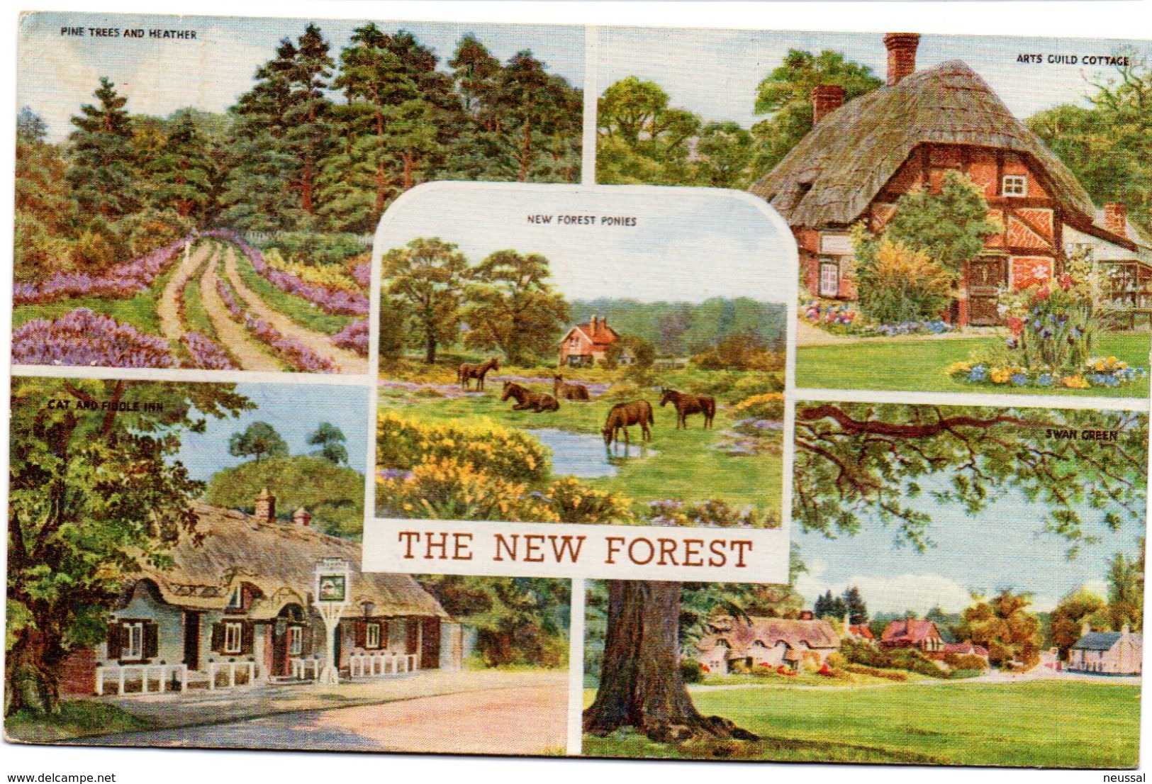 Tarjeta Postal The New Forest. - Southampton