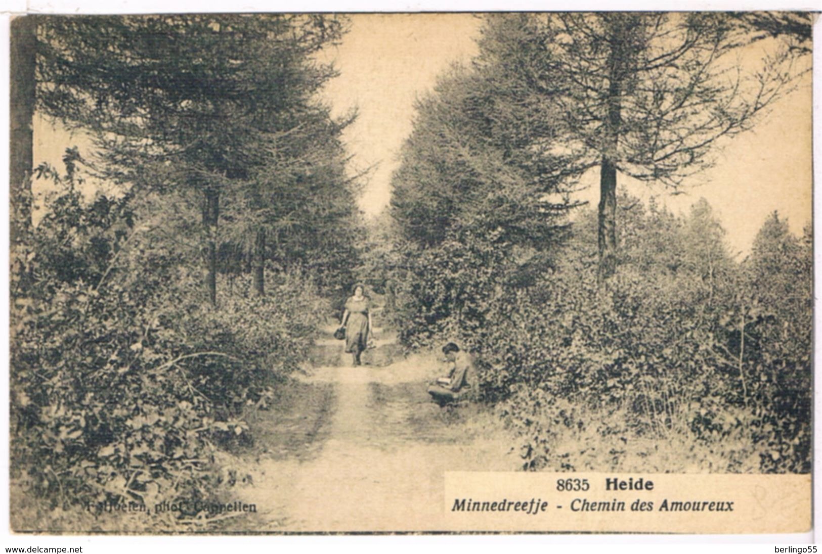 Heide - Minnedreefje 1923  (Geanimeerd) - Kalmthout