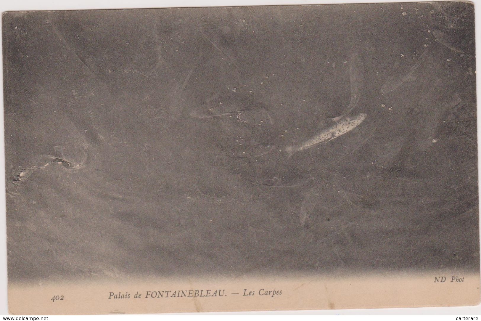 Cpa,seine Et Marne,palais De Fontainebleau En 1916,les Carpes,carte Ancienne ,77 - Fontainebleau