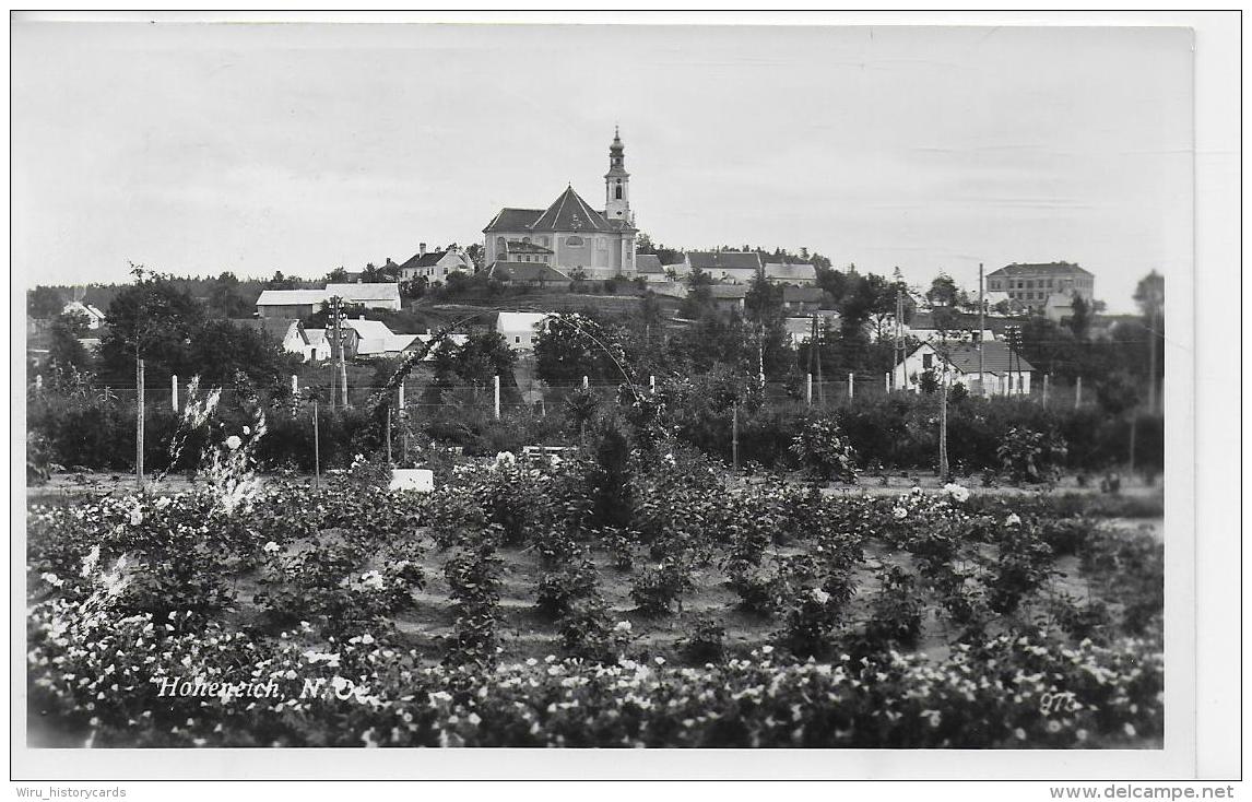 AK 0875  Hoheneich Bei Gmünd - Verlag Mörtl Um 1955 - Gmünd