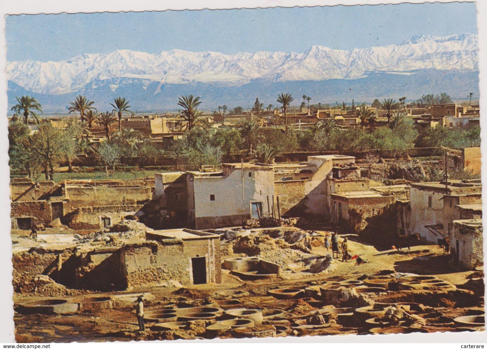 AFRIQUE,AFRICA,AFRIKA,MAROC,MOROCCO,MARRAKECH,MURR AKUSH,USINE A TANNER,METIER,TANNEUR DE CUIR - Marrakech