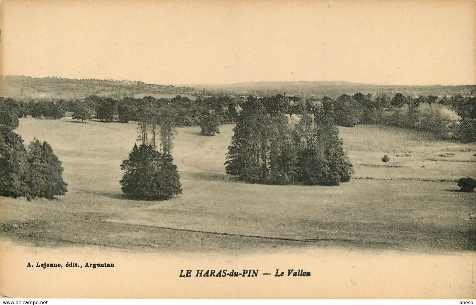 Orne - Lot N° 233 - Lots en vrac - Lot divers du département de l'Orne - Lot de 40 cartes