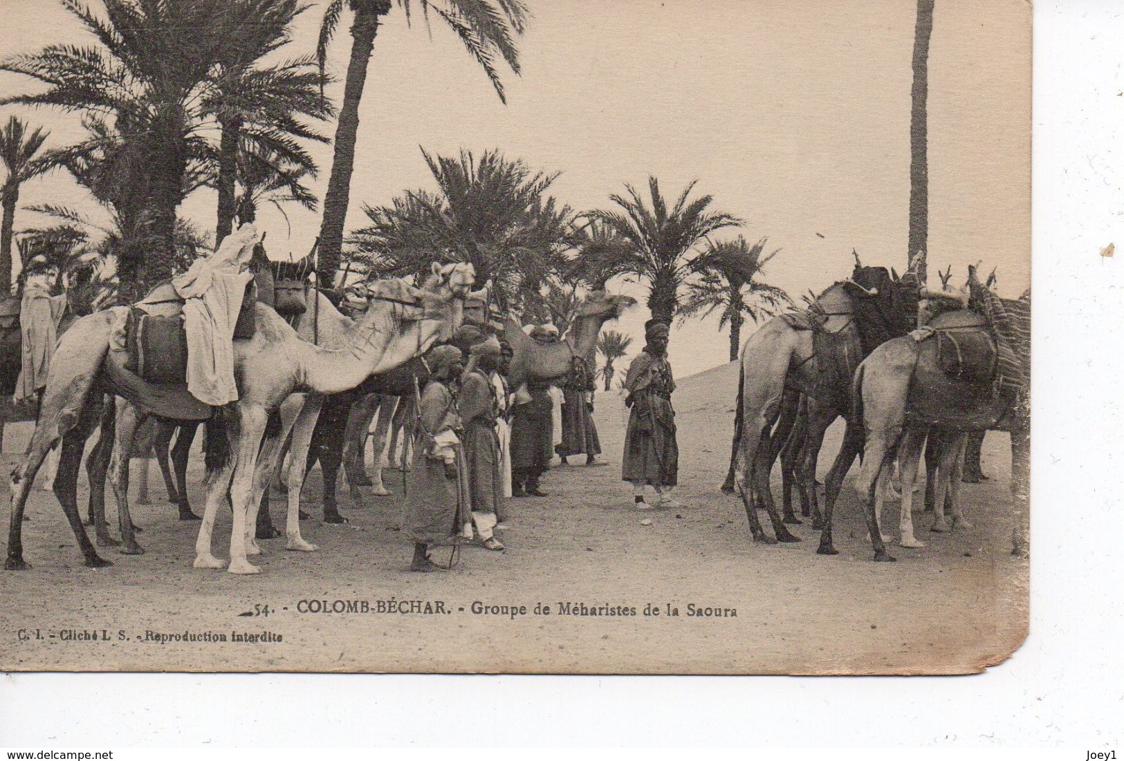 Cpa Colomb Béchar Groupe De Méharistes De La Saoura - Bechar (Colomb Béchar)