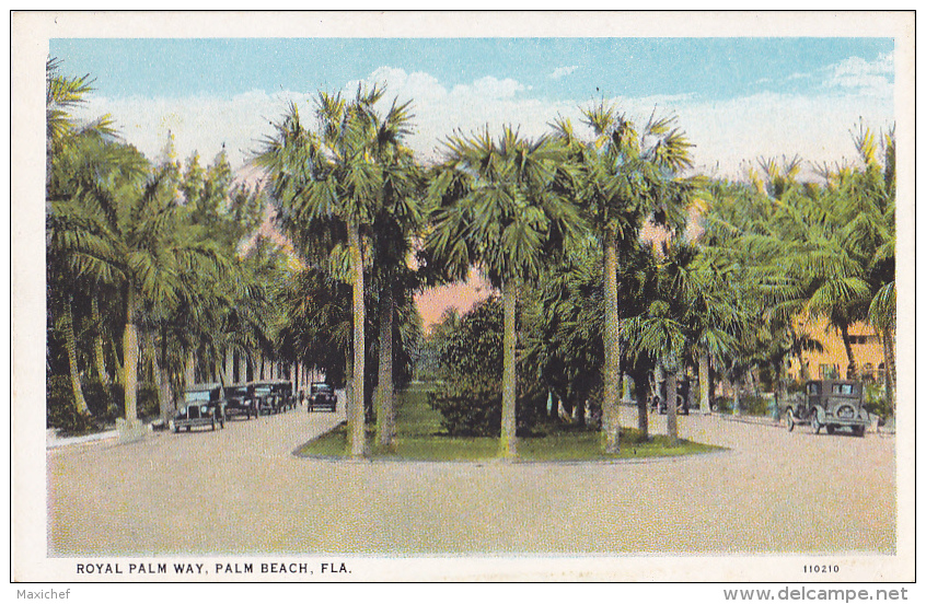 Royal Palm Way - Palm Beach, Fla - Palmiers, Circulation Automobile - Pas Circulé, Couleur - Palm Beach