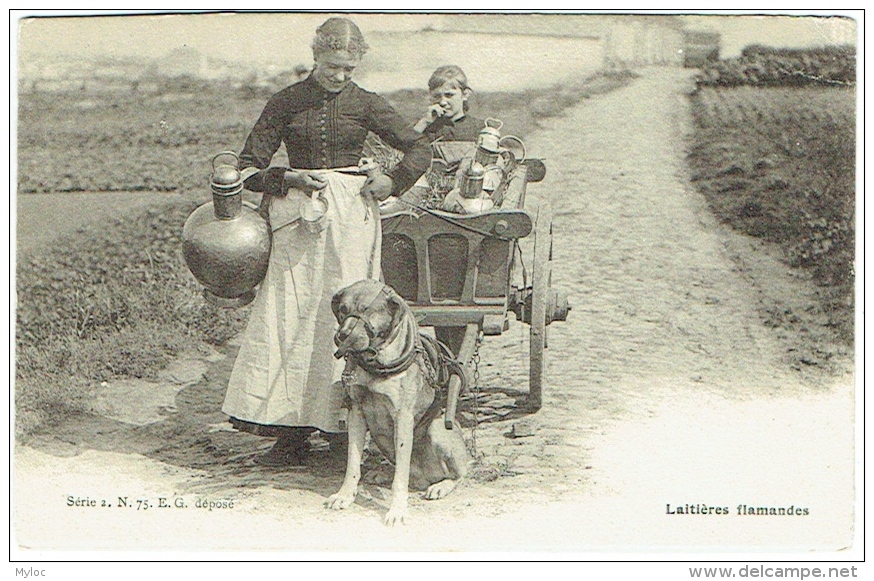 Laitières Flamandes. Attelage Avec Chien. - Fliegende Händler