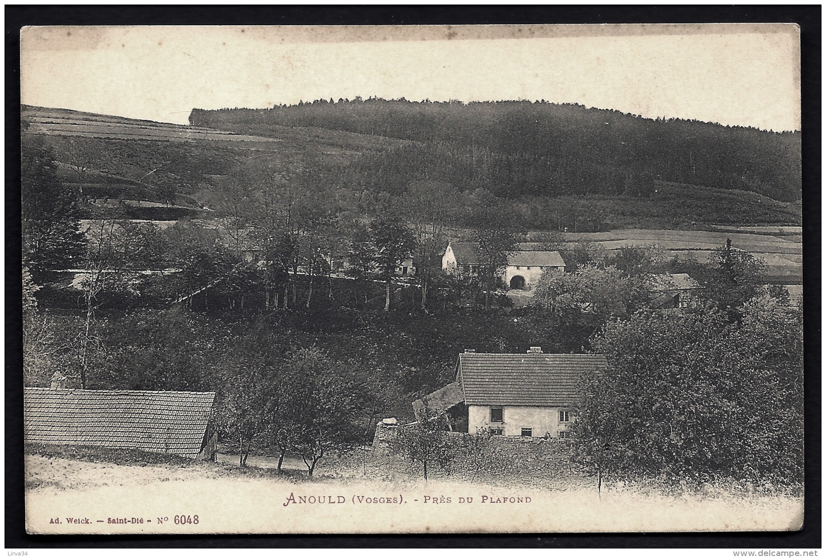 CPA ANCIENNE FRANCE- ANOULD (88)- LES FERMES PRES DU PLAFOND EN ÉTÉ- - Anould