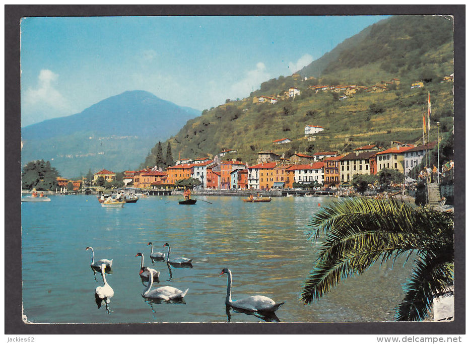 68495/ DOMASO, Lago Di Como - Altri & Non Classificati