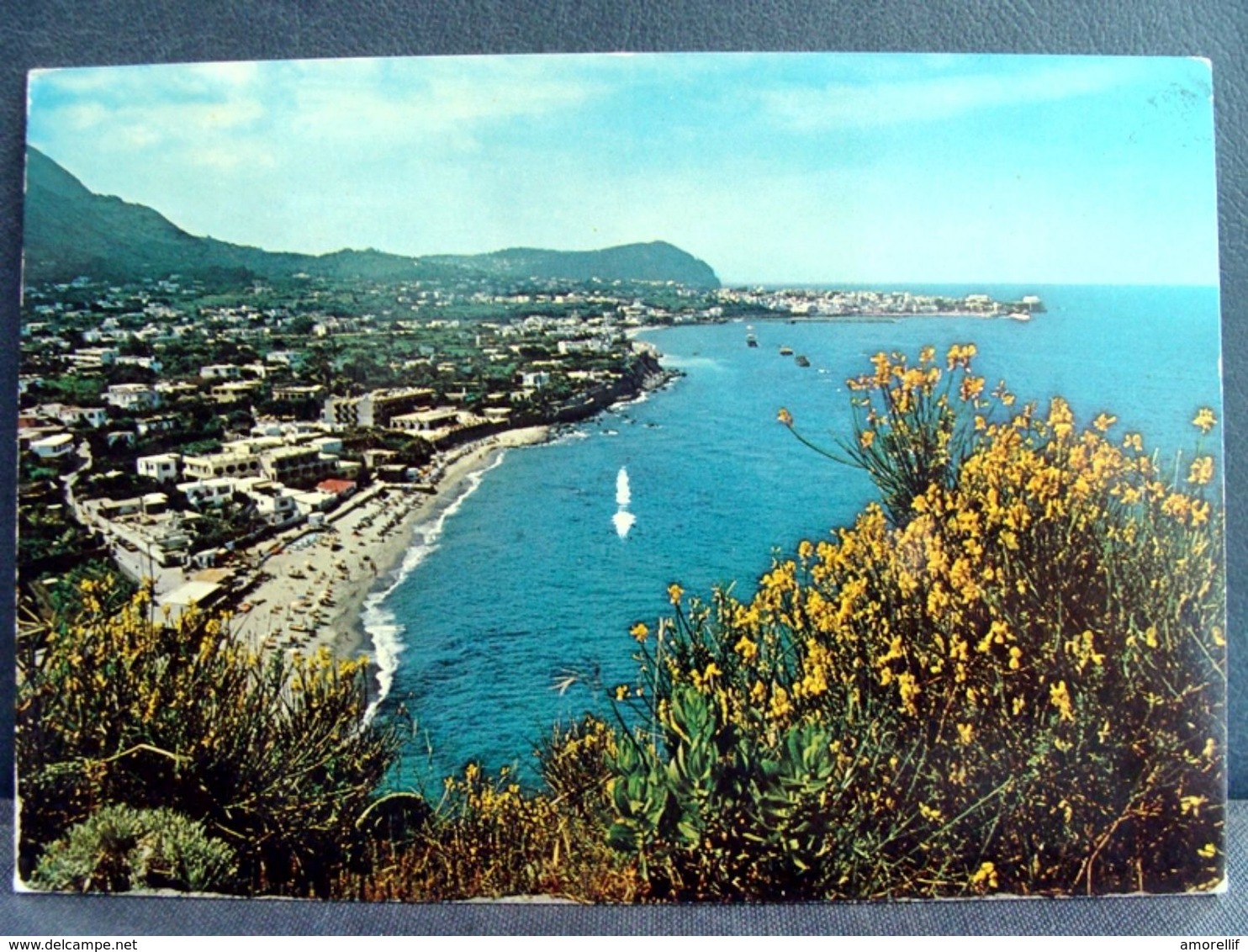 (FG.H25) FORIO D'ISCHIA - SPIAGGIA DI SAN FRANCESCO (ISOLA D'ISCHIA, NAPOLI) VIAGGIATA - Napoli