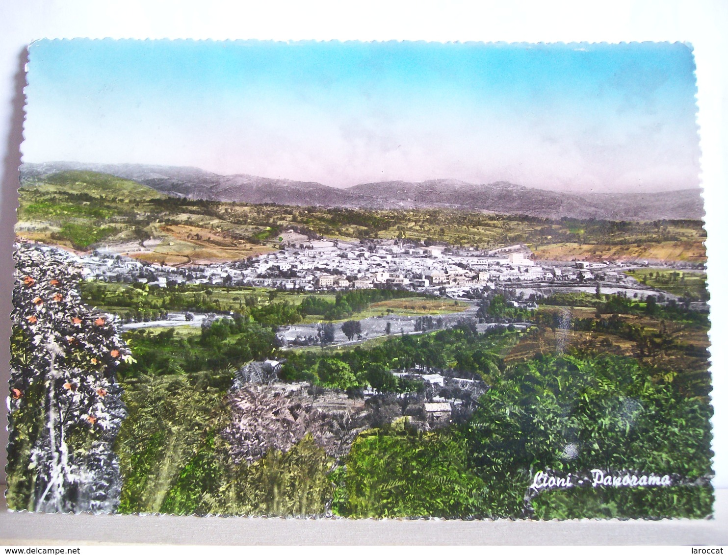 1959 - Avellino - Lioni - Panorama - Cartolina D'epoca - Vera Fotografia - 2 Scans. - Avellino