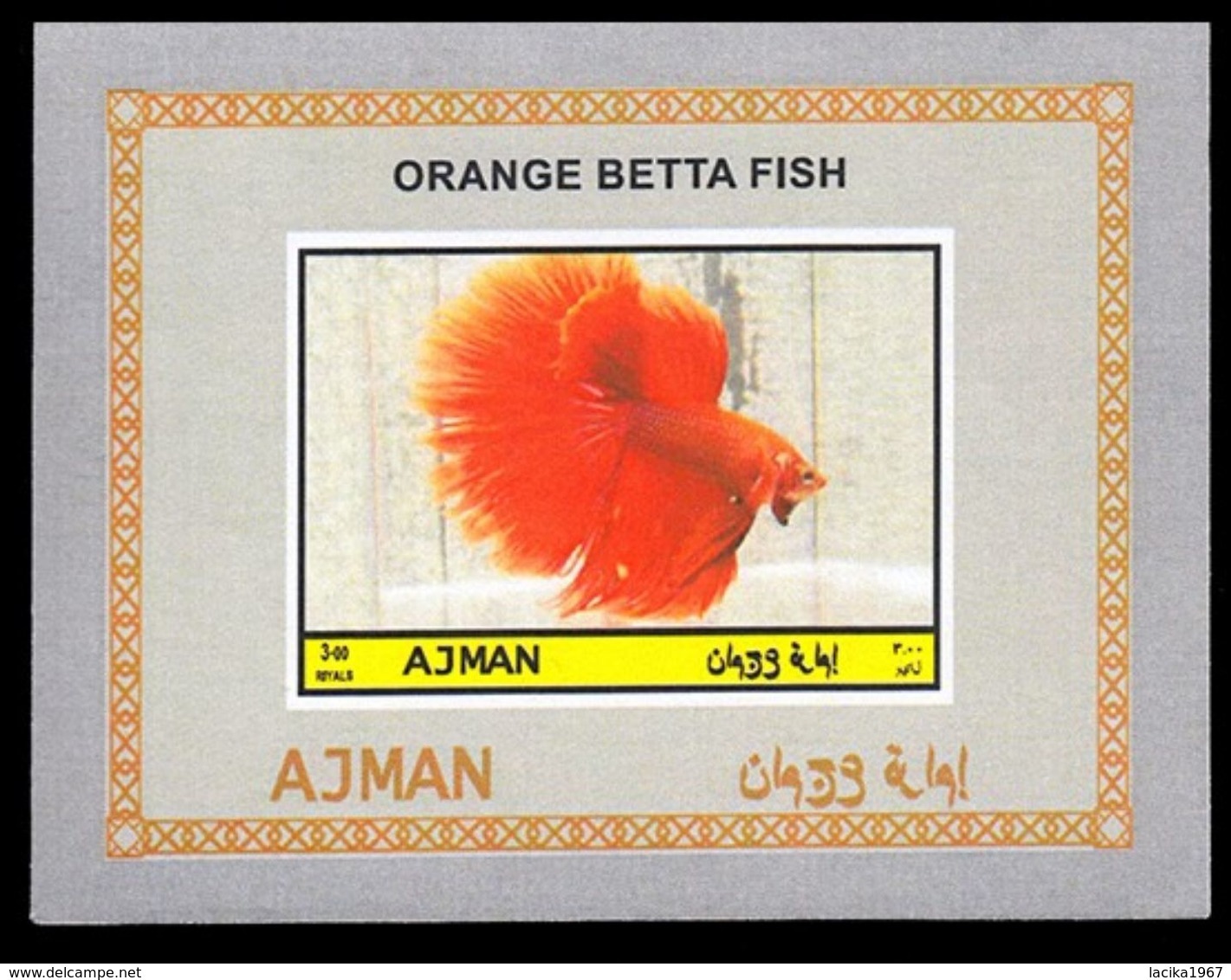 Fish, Betta Splendens, Ajman - Poissons
