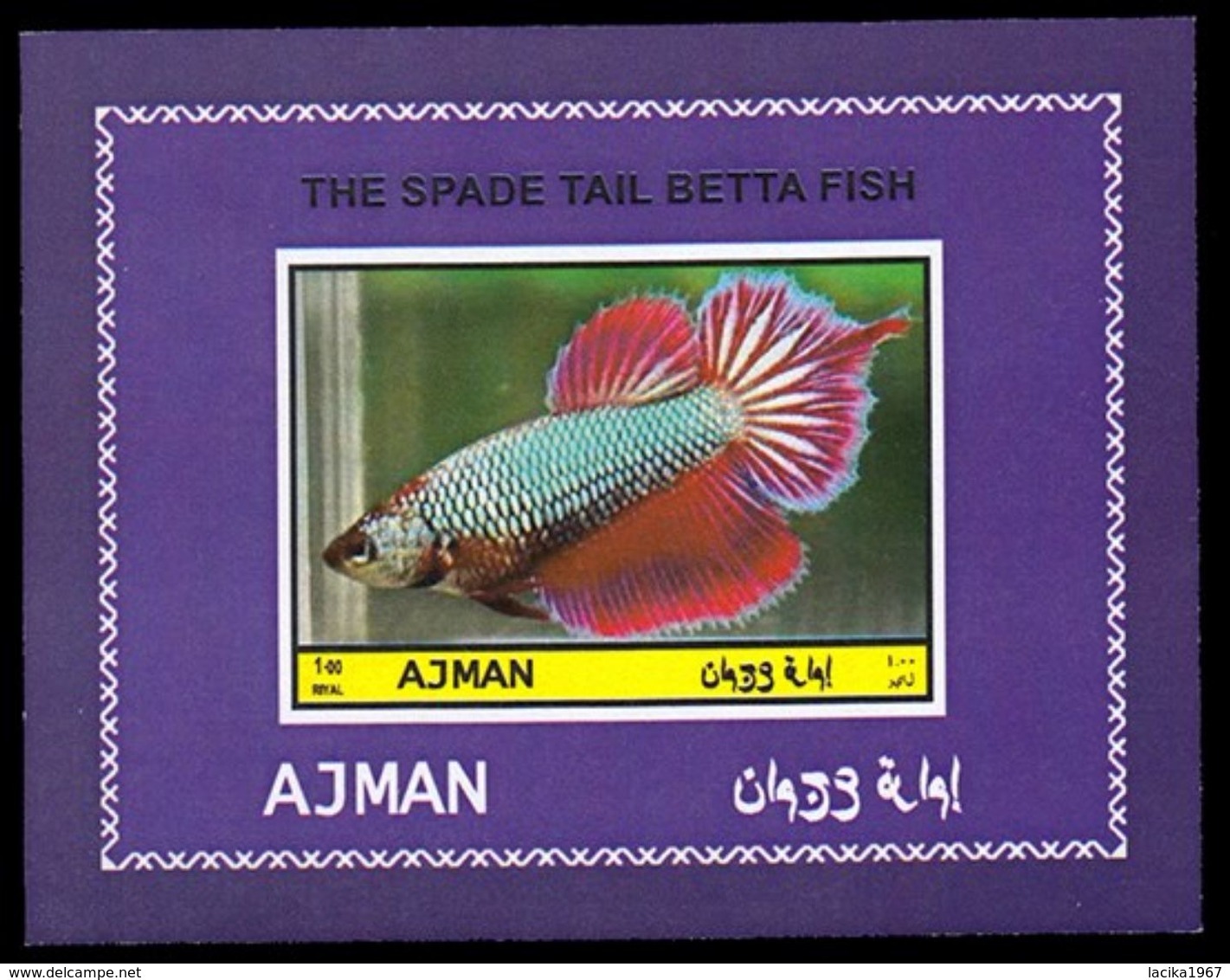 Fish, Betta Splendens, Ajman - Poissons