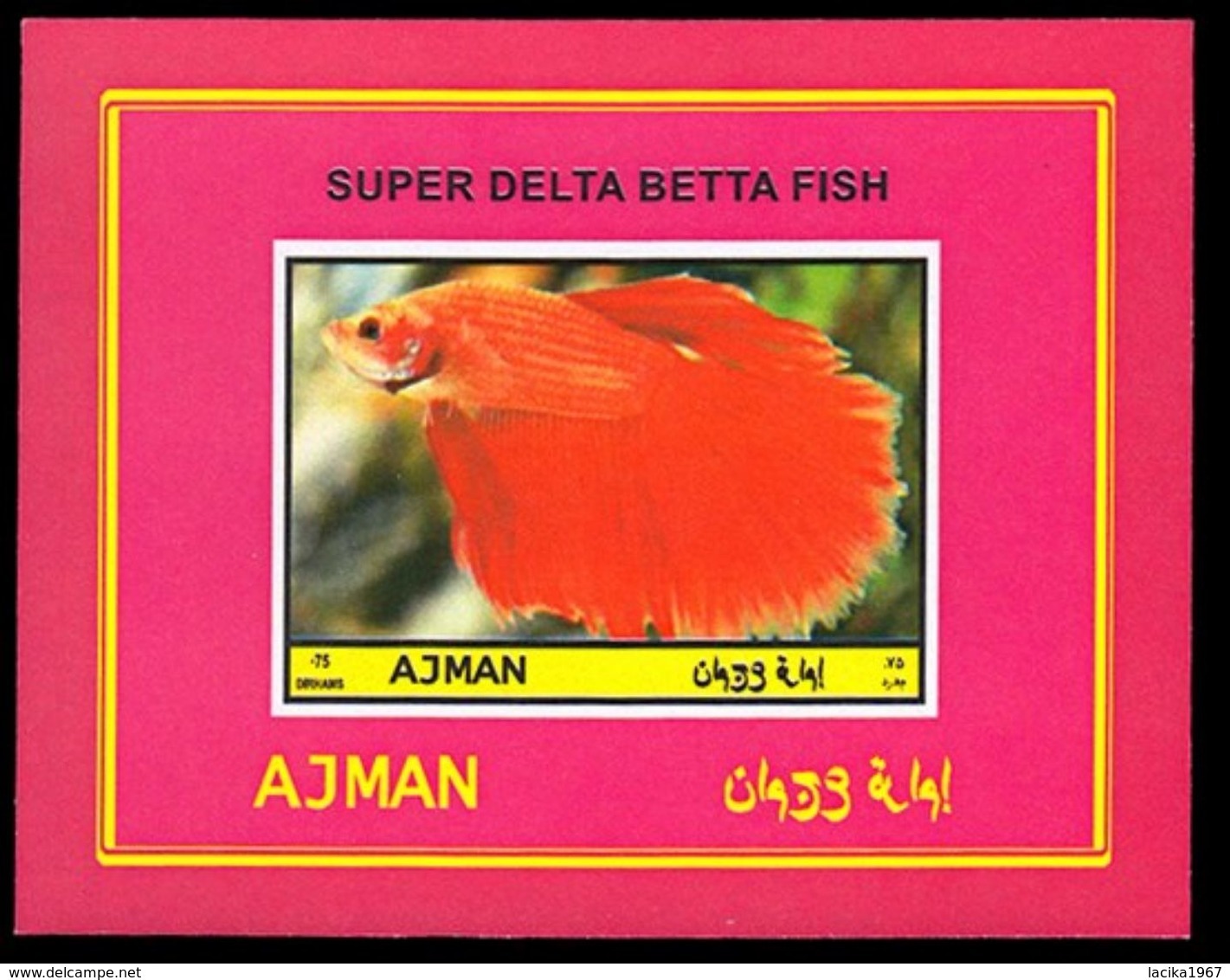 Fish, Betta Splendens, Ajman - Poissons