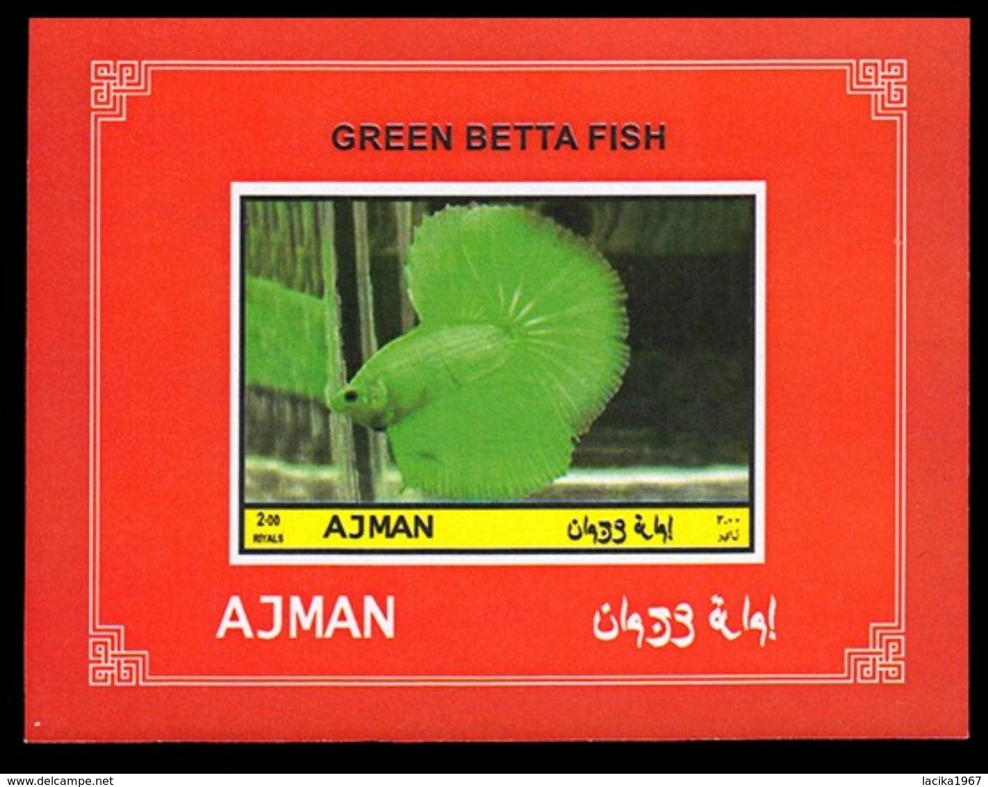 Fish, Betta Splendens, Ajman - Poissons