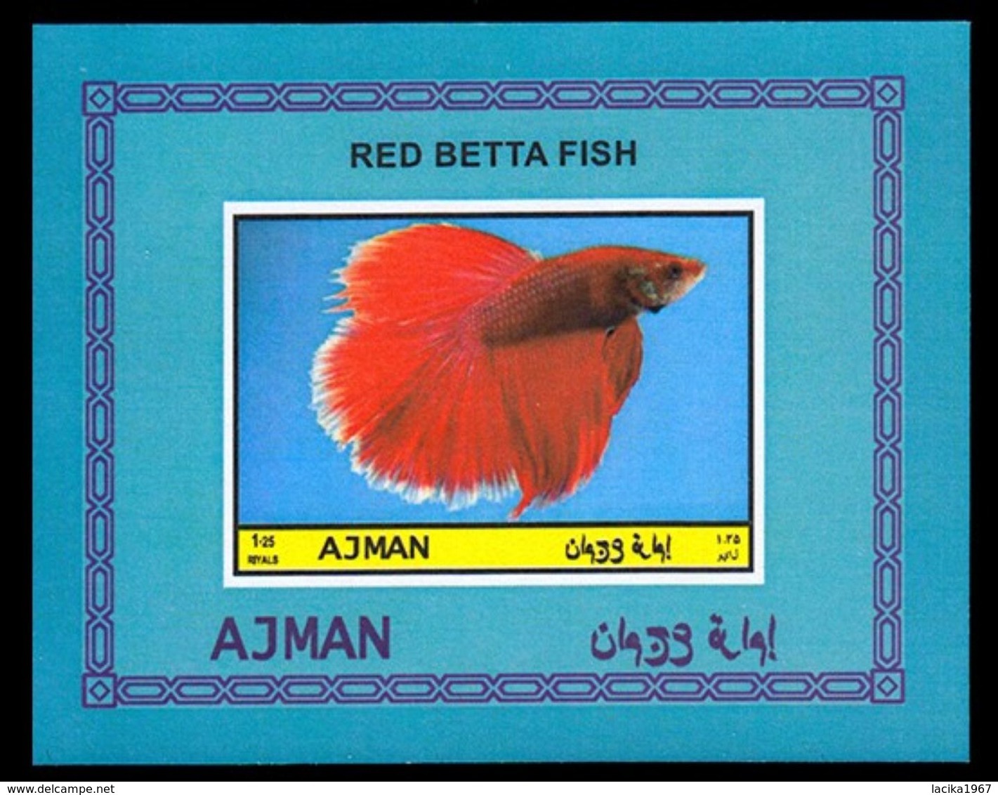 Fish, Betta Splendens, Ajman - Poissons