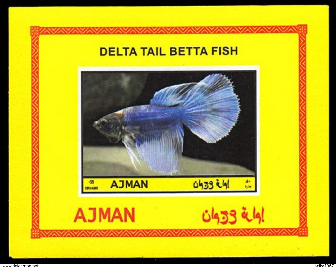 Fish, Betta splendens, Ajman