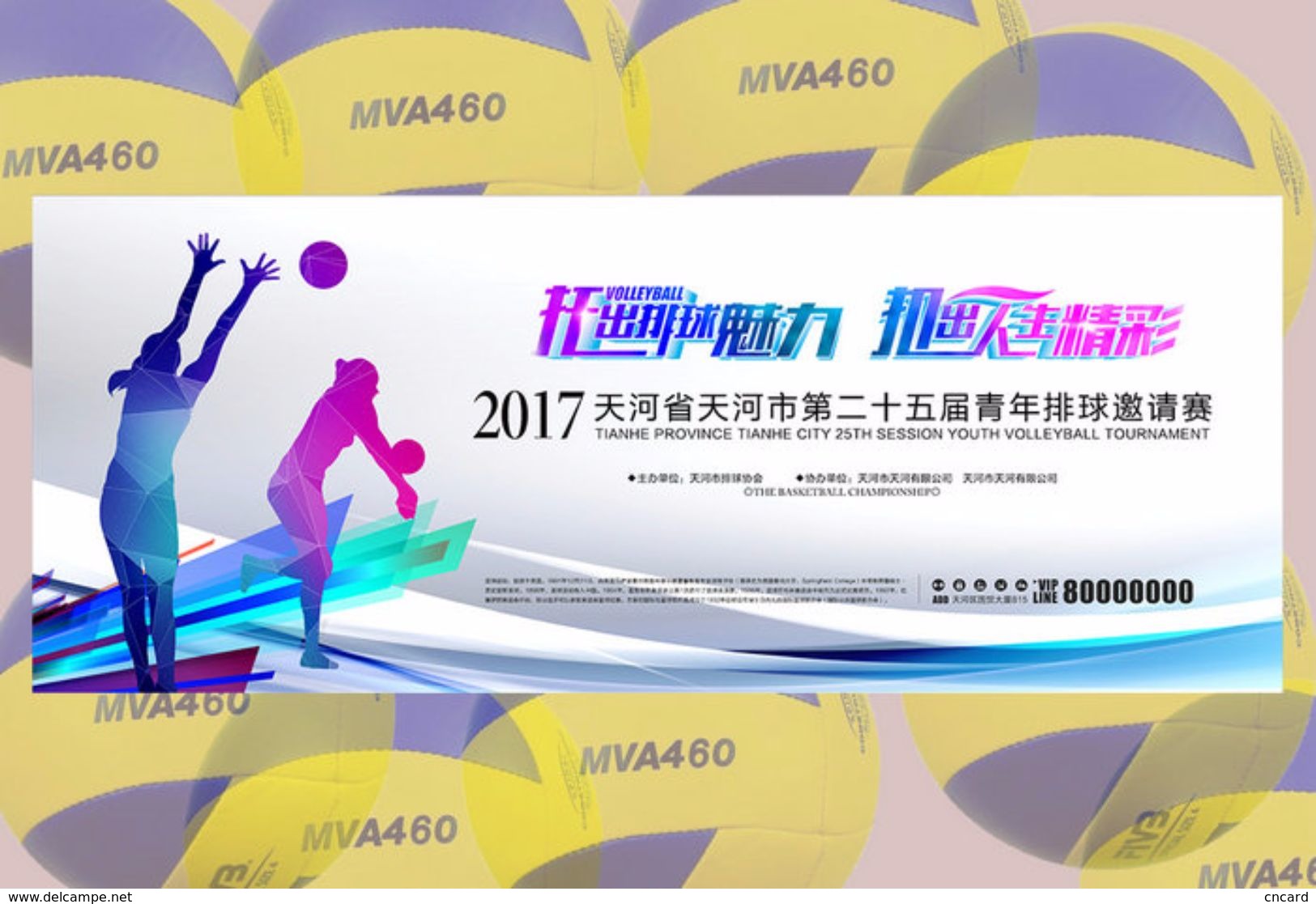 [ T24-000 ]  volleyball volley-ball Volleybal, 18 China pre-stamped cards, postal stationeries (a complete set)