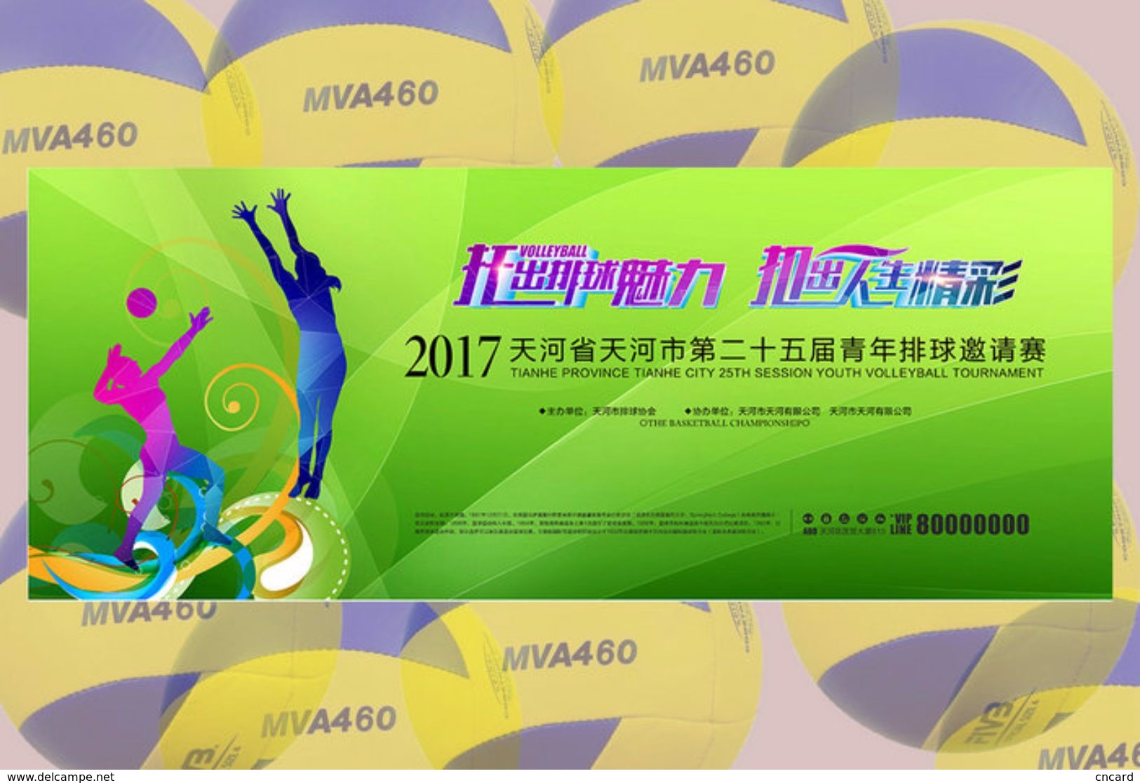 [ T24-000 ]  volleyball volley-ball Volleybal, 18 China pre-stamped cards, postal stationeries (a complete set)