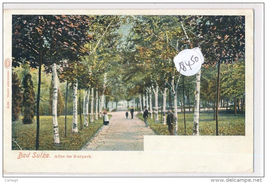 CPA ( Précurseur) -18450- Allemagne - Bad Sulza - Allee Im Kurpark-Envoi Gratuit - Bad Sulza