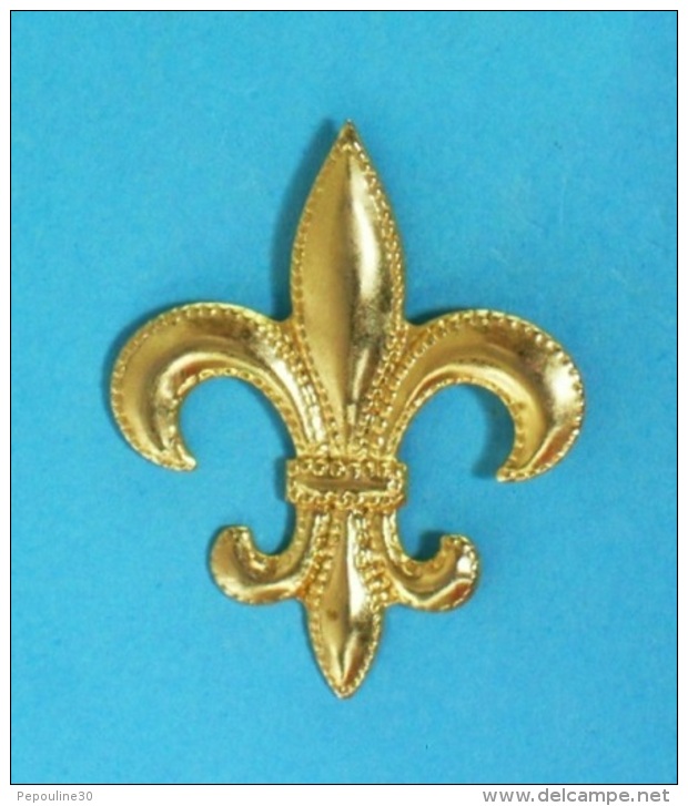 1 PIN'S //    ** FLEUR DE LYS ** DORÉE ** - Personnes Célèbres