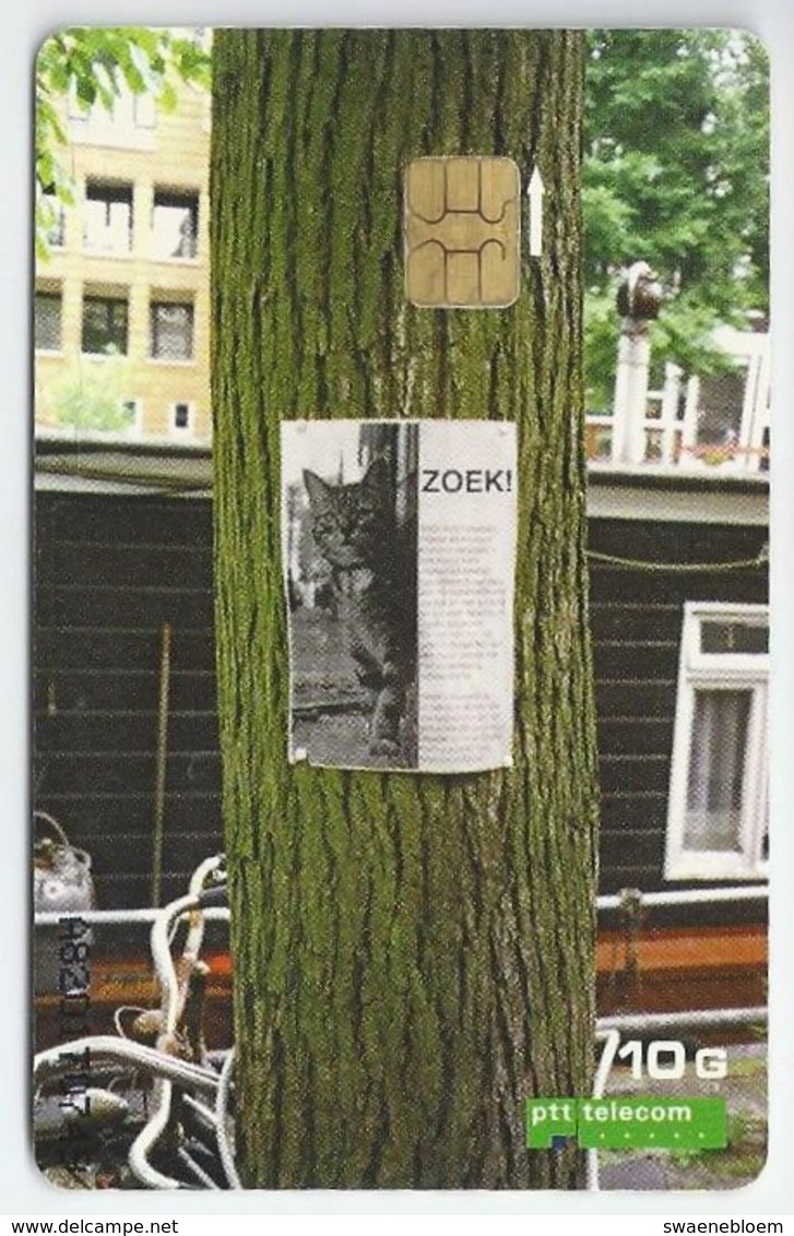 NL.- POES, Serie Mens En Huisdier. Aanhankelijk. Trouw. Zelfstandig. 10 Gulden. Boom. Tree. Zoek. A820 - Katten