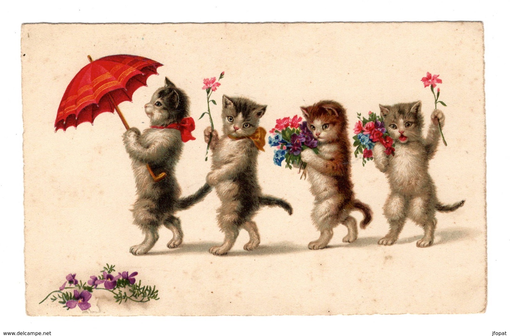 CHATS - Chatons En Procession - Cats