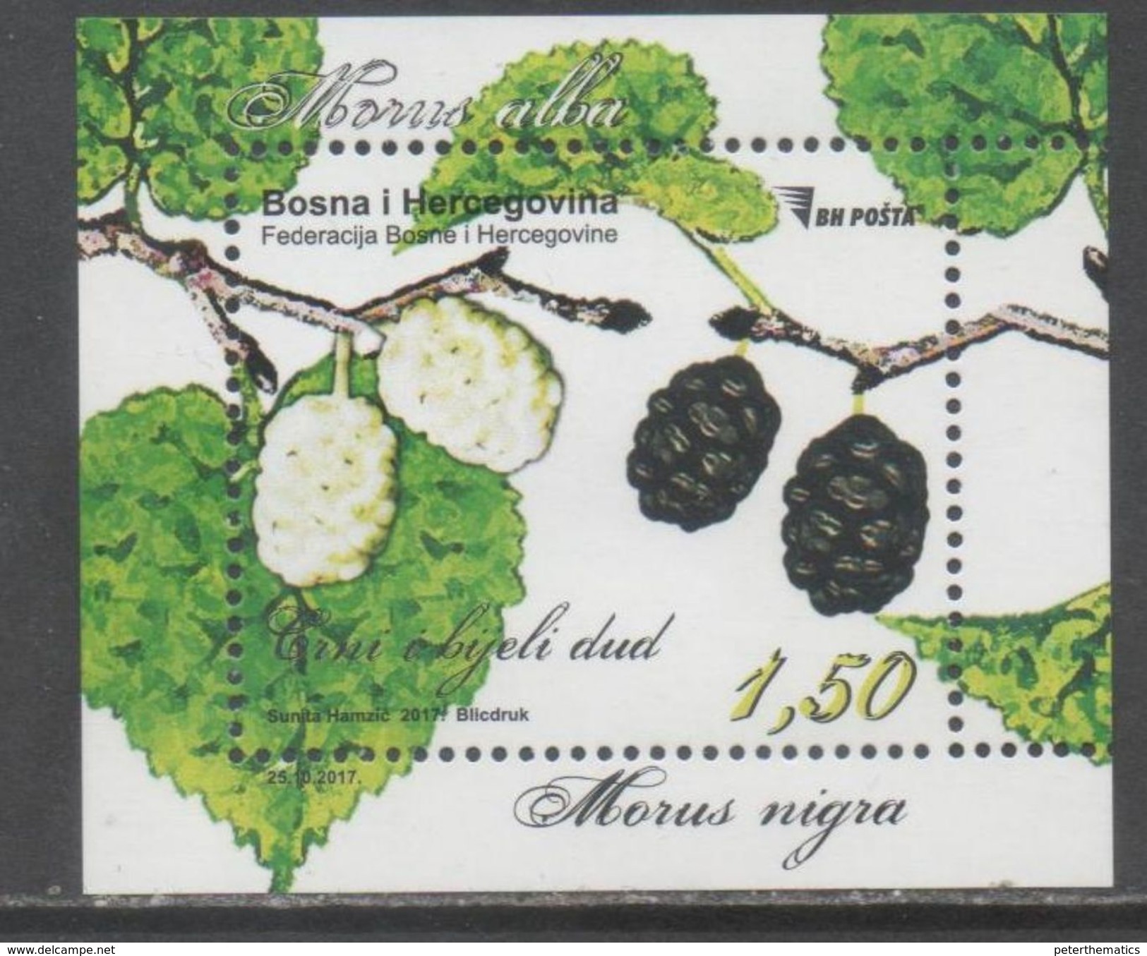 BOSNIA,  2017,MNH, FLORA, MULBERRY, TREES, S/SHEET - Fruit