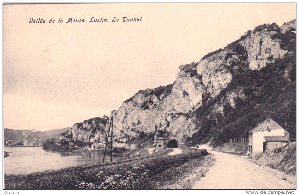 Belgique - Vallee De La Meuse -  Lustin - Le Tunnel - Profondeville