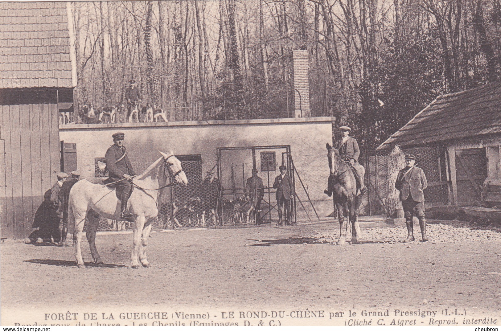 86. OYRE. CPA. FORET DE LA GUERCHE. .LE ROND DU CHÊNE.ANIMATION. RENDEZ VOUS DE CHASSE. CHENIL ET CHIENS. - Autres & Non Classés