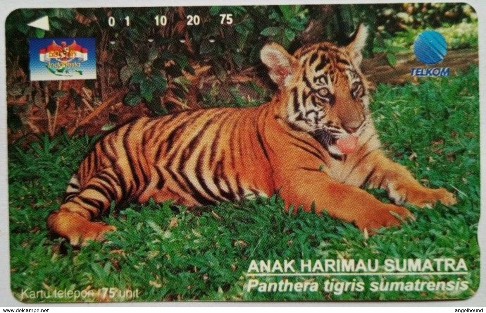 Indonesia 75 Units "  Anak Harimau Sumatra  ( Baby Tiger ) " - Indonésie