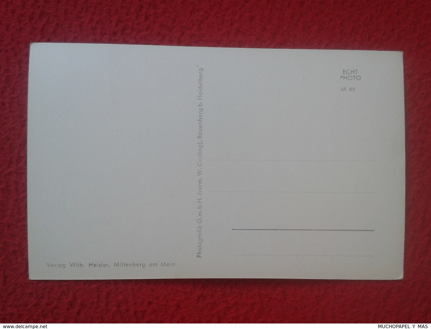 POSTAL POSTCARD POST CARD CARTE POSTALE ALEMANIA GERMANY DEUTSCHLAND MILTENBERG AM MAIN SCHNATTERLOCH VER FOTO/S Y DESCR - Miltenberg A. Main