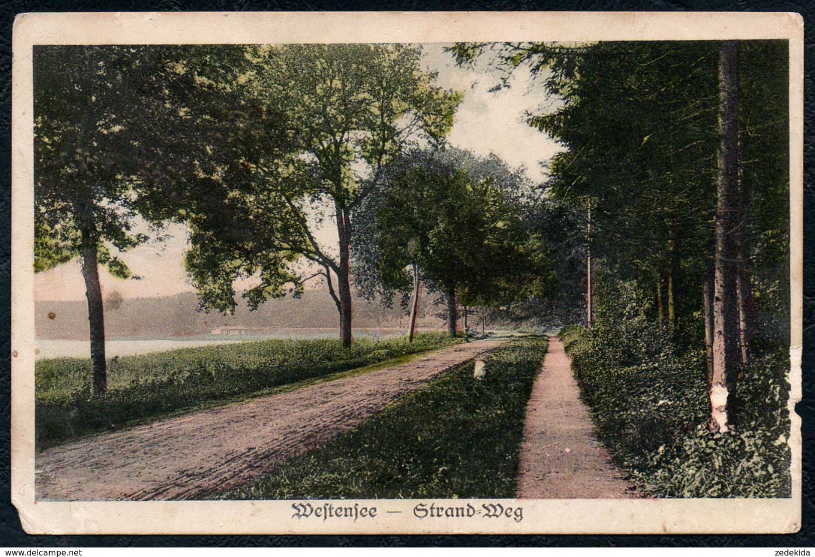 B2614 - Westensee - Strand Weg - Gel 1916 - Hermann Arbien Kiel - Rendsburg