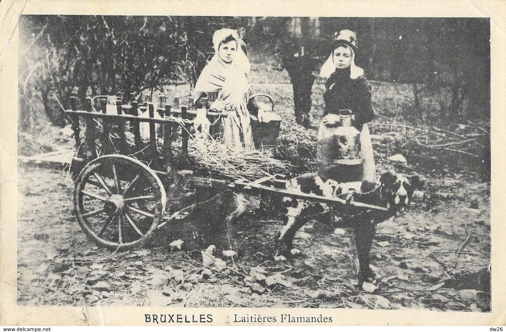 Bruxelles - Laitières Flamandes Avec Attelage De Chien - Marchands Ambulants