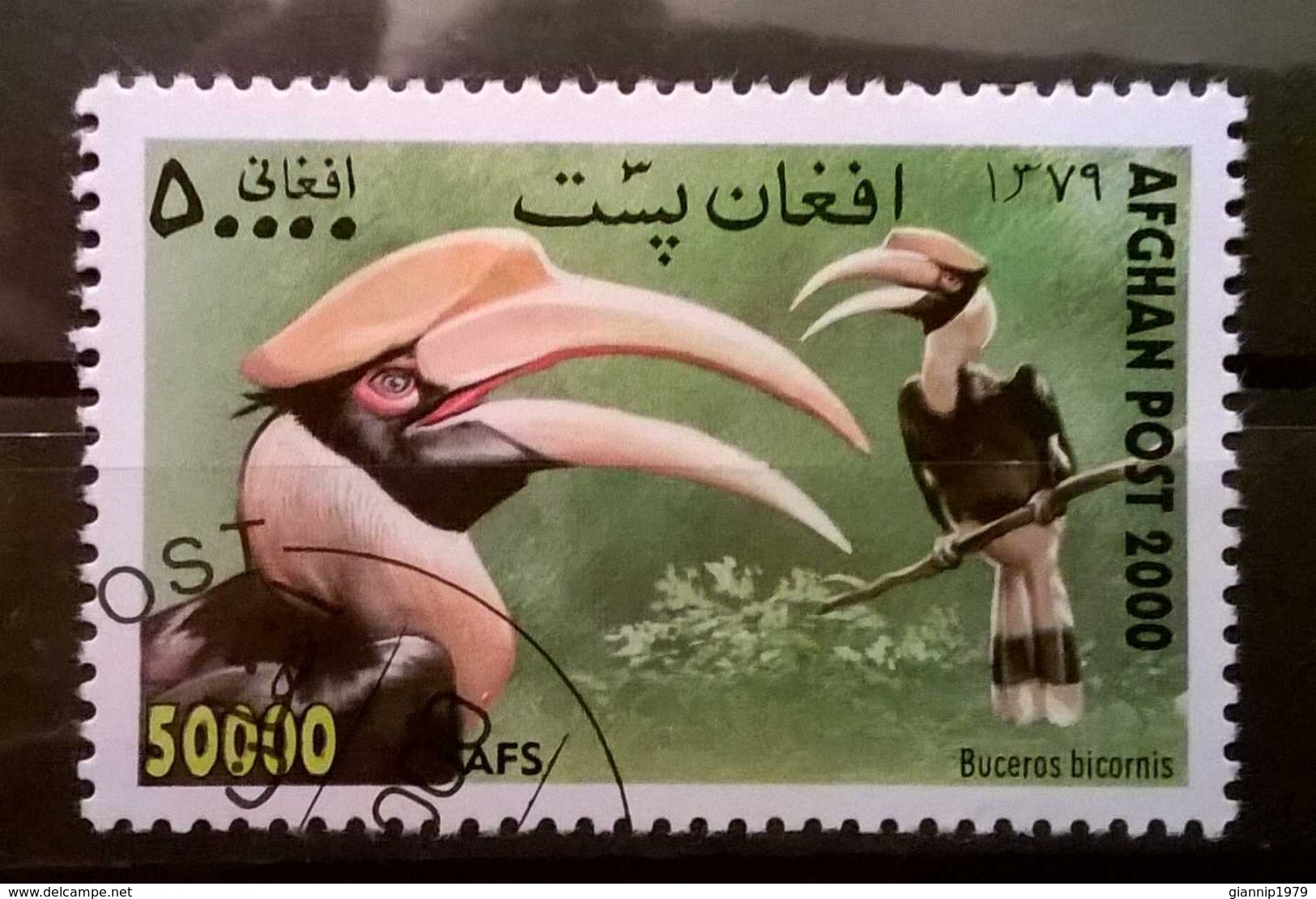 FRANCOBOLLI STAMPS AFGHANISTAN 2000 SERIE UCCELLI - Afghanistan