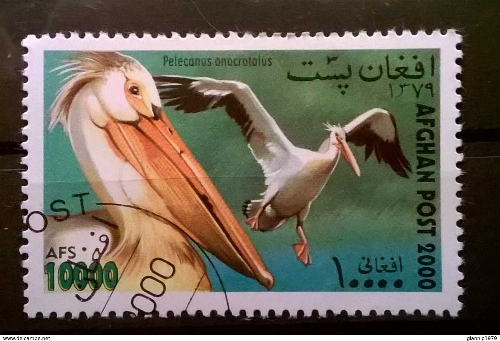 FRANCOBOLLI STAMPS AFGHANISTAN 2000 SERIE UCCELLI - Afghanistan