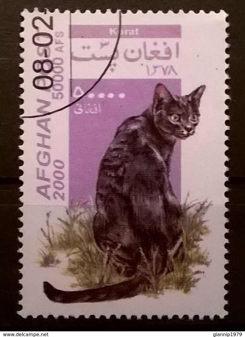 FRANCOBOLLI STAMPS AFGHANISTAN 2000 SERIE GATTI - Afghanistan