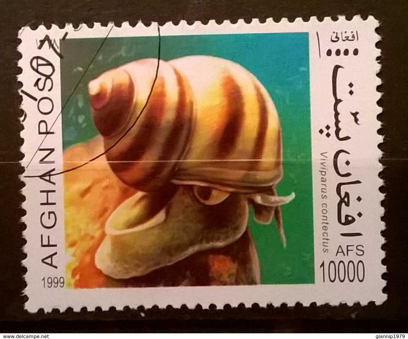 FRANCOBOLLI STAMPS AFGHANISTAN 1999 SERIE FAUNA MOLLUSCHI - Afghanistan