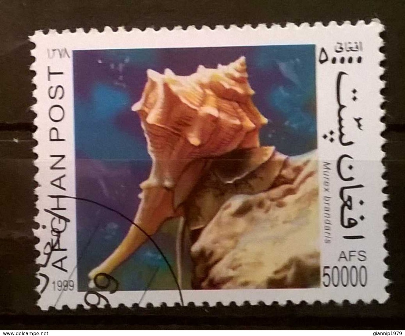 FRANCOBOLLI STAMPS AFGHANISTAN 1999 SERIE FAUNA MOLLUSCHI - Afghanistan