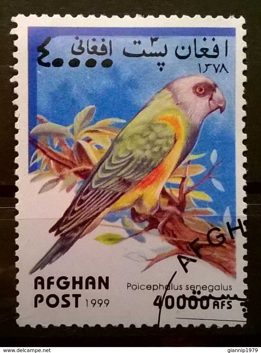 FRANCOBOLLI STAMPS AFGHANISTAN 1999 SERIE PAPPAGALLI - Afghanistan