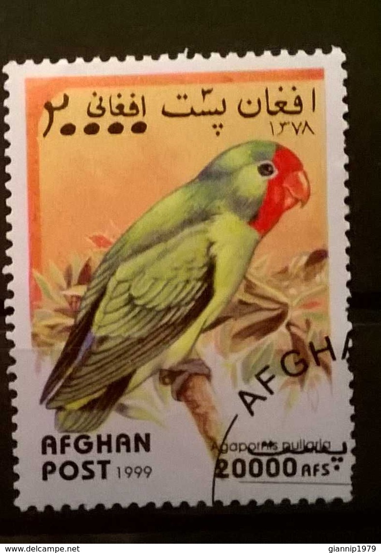 FRANCOBOLLI STAMPS AFGHANISTAN 1999 SERIE PAPPAGALLI - Afghanistan