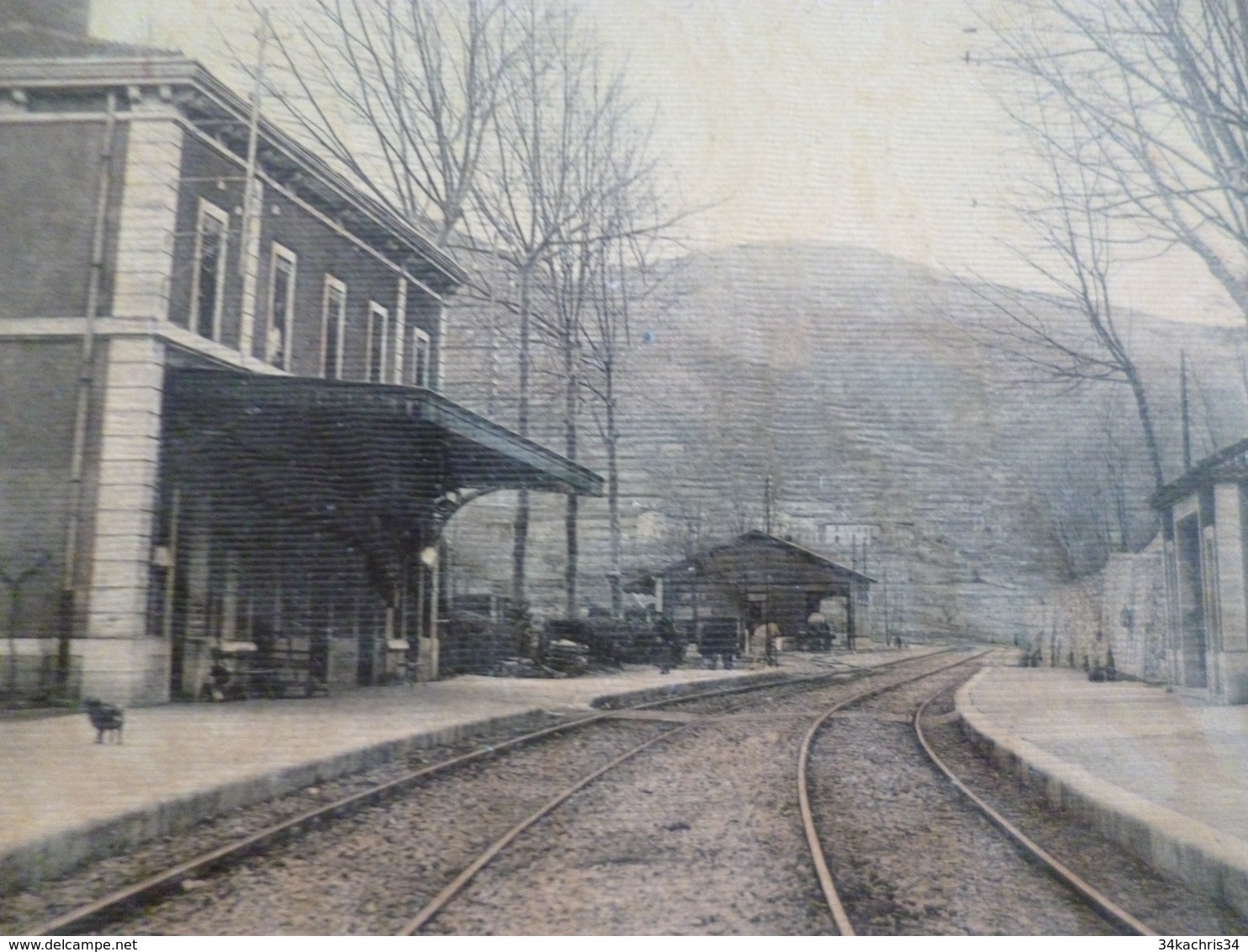 CPA 30 Gard Sumène La Gare Et Les Lieures TBE - Sumène