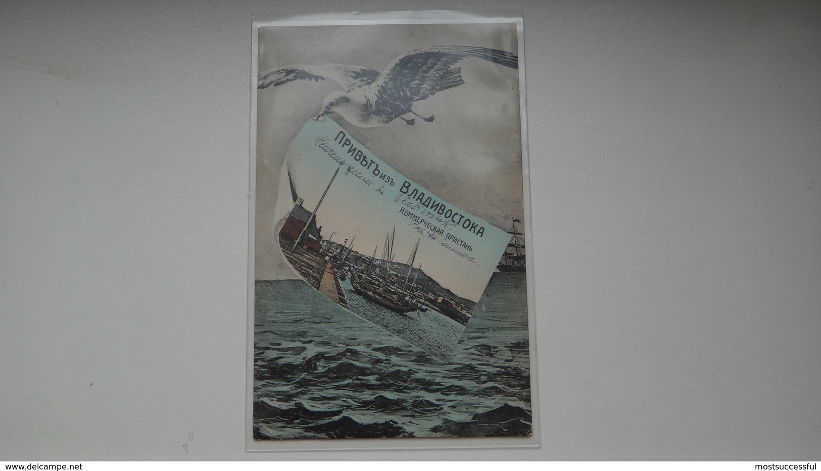 Russia. Vladivostok. The Souvenir. Gull. Hey. Commercial Pier.Print. - Russie