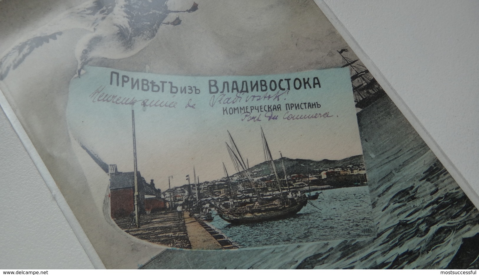 Russia. Vladivostok. The Souvenir. Gull. Hey. Commercial Pier.Print. - Russie